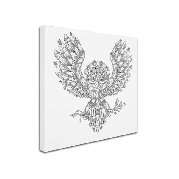 Filippo Cardu 'Jewel Owl' Canvas Art,24x24